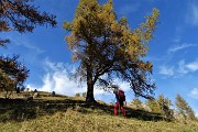 Anello del PIZZO BADILE (2044 m) da Piazzatorre il 21 ottobre 2017 - FOTOGALLERY